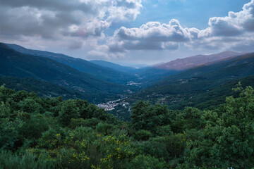 JERTE VALLEY, WONDERFUL IN SPRING, PICKED FROM THE FAMOUS JERTE CHERRY