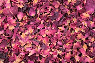 Close up of dried red rose petals (Rosa) photographed from above - Powered by Adobe