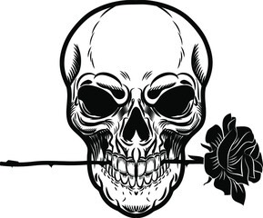 Human skull with a rose flower in a mouth. Vector illustration in tattoo style or shirt design.