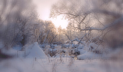 Winter blurred landscape with snow covered trees
