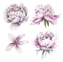 Set with watercolor peonies.  Hand drawn.