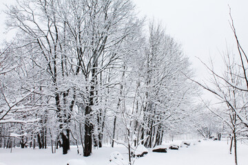 Christmas and New Year. The snow brought peace and tranquility to the city park.