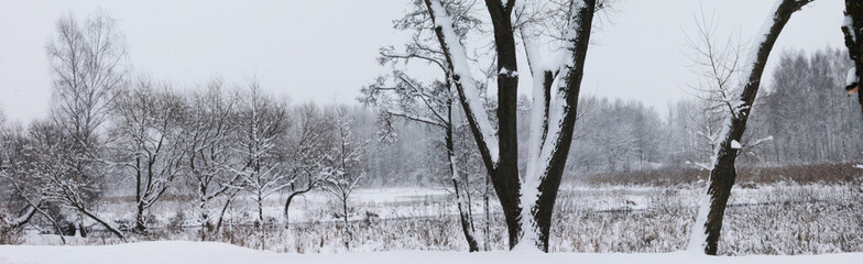 Christmas and New Year. Winter landscape. heavy snow covered the trees