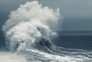 rogue wave © florin