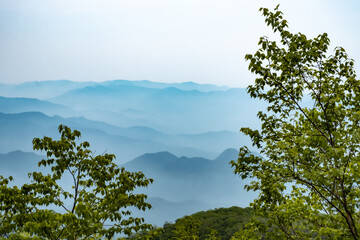 Obraz premium 山の風景