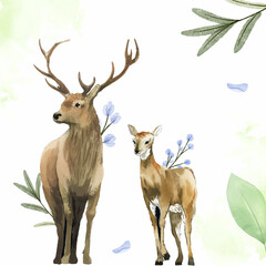 Watercolor set of deer. Amimals. Wildlife. Deer. set of watercolor illustrations of deer