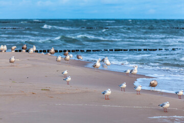 Beautiful view of Polish Baltic Sea at Rewal.