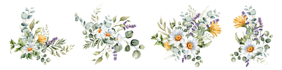 Fototapeta na wymiar Watercolor wildflower and herb bouquets. Daisy, calendula, lavender, eucalyptus branches. Summer floral clipart for greeting cards and invitations, natural products wrapping, logo and fabric.