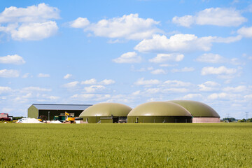 General view of a biogas plant with three digesters in a green wheat field in the countryside under a blue sky with white clouds. - obrazy, fototapety, plakaty