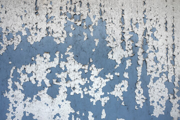 Old white paint peeling of a blue wall