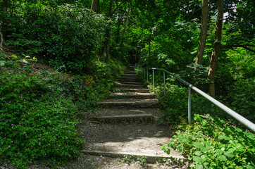 Historischer Pfad mit Stufen zu einer Burg in Bacharach