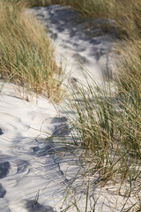 path in sand dunes 