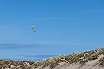 Fototapeta na wymiar colorful kite on the beach in the sky