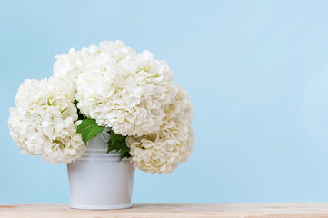 White flowers in a vase on a table on a blue background.