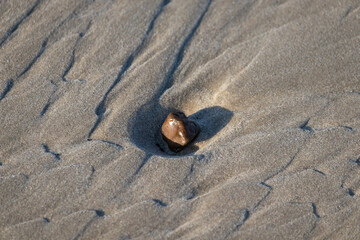 stone on sand (beach)