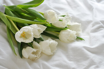 Naklejka na ściany i meble bouquet of beautiful white tulips