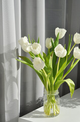 bouquet of beautiful white tulips