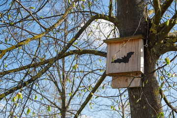 tree house for bats in the park