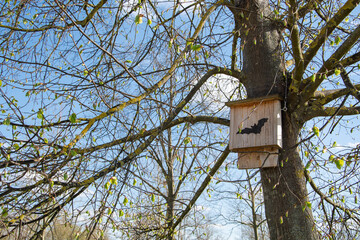 tree house for bats in the park