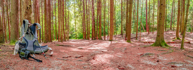 Panoramic view with magical pine trees forest at the hiking trail in the national park and a big rucksack with hiking poles and digital camera.