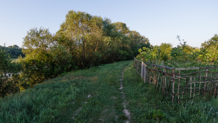 Fototapeta premium field road in the summer morning