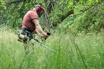 Obraz premium a person mows the grass with a petrol brushcutter