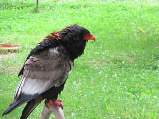 Parque de la Naturaleza de Cabarceno