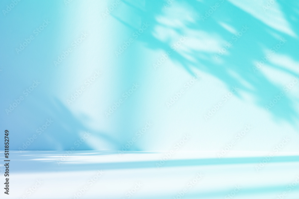 Poster Abstract gradient blue studio background for product presentation. Empty room with shadows of window and flowers and palm leaves . 3d room with copy space. Summer concert. Blurred backdrop.