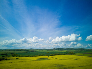 Top view of field with rapeseed and field with grass against blue sky