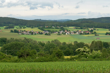 Village in the beautiful forest of Bavaria, Germany