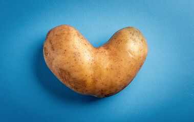Heart shaped ugly potato on blue background. Ugly vegetables