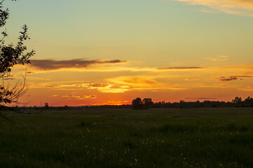 sunset over the field