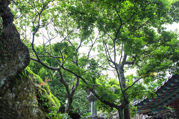 The beautiful Buddhist temple Hyangiram,morning of the quiet temple in the seaside.