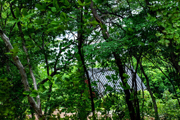 The beautiful Buddhist temple Hyangiram,morning of the quiet temple in the seaside.