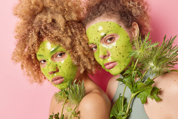 Beauty and natural cosmetics concept. Curly haired sisters apply green moisturising masks on face hold plants look seriously at camera isolated over pink background take care of skin condition