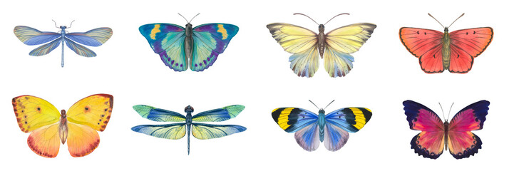 Fototapeta na wymiar Set of watercolor butterflies isolated on white background. Butterflies drawn on paper for design, print, wallpaper, textile.