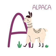 Capital letter A of English childish alphabet with alpaca. Cute kids font for kindergarten and school education.