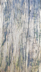 Obraz premium Brown wooden background with cracked lines of wood plank
