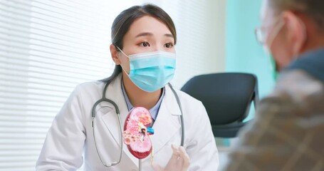 doctor explain kidney model