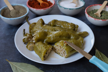 Traditional Turkish foods; Stuffed pepper (Turkish name; biber dolmasi)