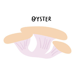Oyster mushroom. Vector illustration on white background.