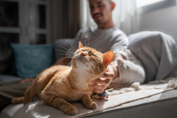 close up. brown tabby cat with green eyes enjoys the caresses of a young man