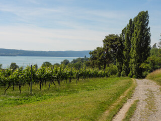 Obraz premium Uhldingen am Bodensee im Sommer