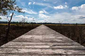 Fototapeta premium Lowcountry Life