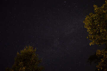Fototapeta premium stelle e pini, Friuli Venezia Giulia