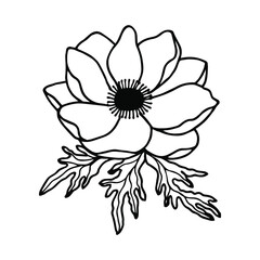 Anemone flower. Vector stock illustration eps10. Isolate on white background, outline, hand drawing.
