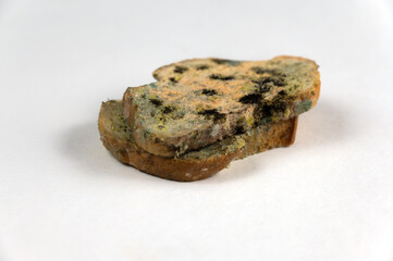 The moldy bread is opposite the neutral background. Two slices of wheat bread covered in fungal mold. Spoiled food. Selective focus.