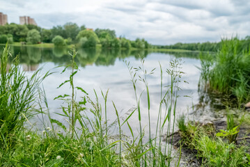 summer landscape on the lake shore before the rain