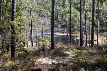 Seen, Teiche und Weiher im Tiveden Nationalpark in Schweden