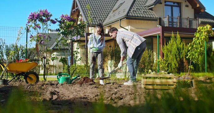 Little cute Caucasian girl helping his father in planting trees in garden on summer day. Small pretty daughter watching how daddy digging hole for tree to plant. At village house.
